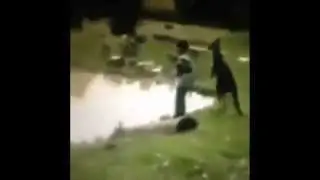 This is Sparta - Kangaroo version