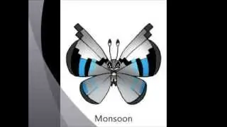18 Colors of Vivillon