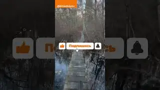 Жизнь Полна ИСПЫТАНИЙ