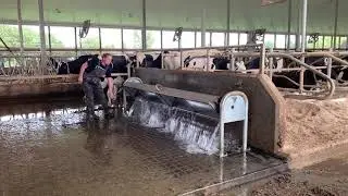 Round Bottom Tip Trough with Mounts being tipped