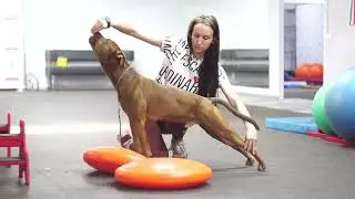 ДЕРЕК в зале
