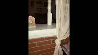 THIS IS MY CAT DONT WORRY