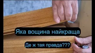 НАЙКРАЩА ВОЩИНА В УКРАЇНІ