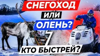 Олень или снегоход. Кто быстрей? \ Буран- Дэй и Сямянхат Мерета \ Нарьян-Мар,  Ненецкий АО