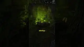 Когда нервы уже не выдерживают Stalker anomaly redux 