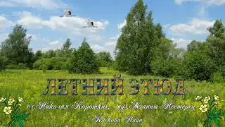 ЛЕТНИЙ ЭТЮД