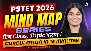 PSTET Science Preparation 2026 | Mind Map Series | Circulation MCQs | By Ramandeep Ma'am