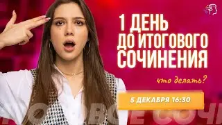 1 ДЕНЬ ДО ИТОГОВОГО СОЧИНЕНИЯ. ЧТО ДЕЛАТЬ?
