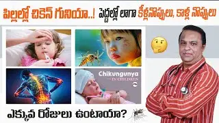 చిన్నపిల్లల్లో చికెన్ గునియా జ్వరం/chikungunya fever in baby in Telugu