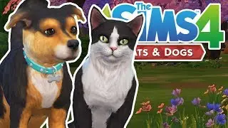 Welcome Dexter & Bella! | The Sims 4 YouTuber Pets | Episode 4