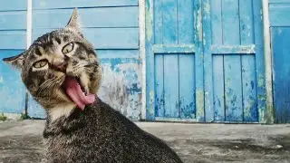 Тест на психику. Кто засмеётся или улыбнётся тот псих.