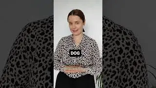 Узнай свой уровень английского для начинающих тест