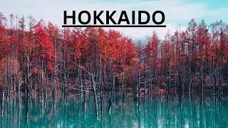 Hokkaido Best Places To Go In 2023!