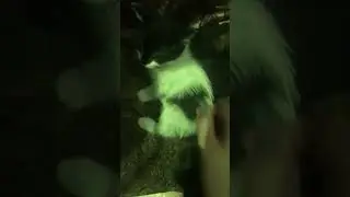Этому видео год к сажилению…