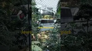 Jewel Changi Airport