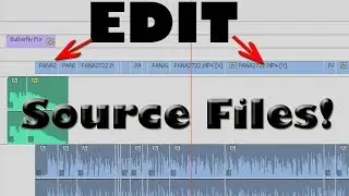 Premiere Pro Tutorial: How to apply effects to the SOURCE FILE!
