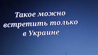 Жизнь в Украине