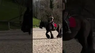 🏇🏇🏇🏇🏇🏇