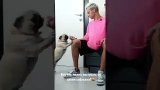 Уже видели че он творил в этом ролике? 