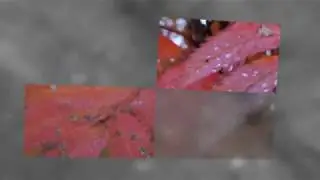 просто для души