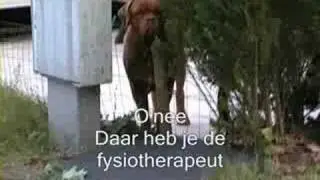 Cato in een kuuroord