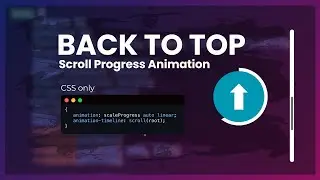 Create a Scroll-Tracking Back to Top Button using CSS scroll animation