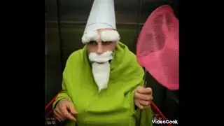 Тест на шизу-уровень гном