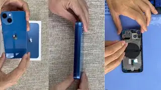 iPhone 13  - Teardown