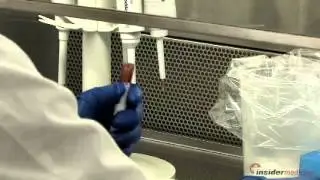 Possible genetic link to childhood obesity