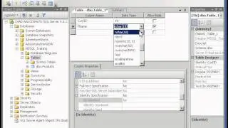 Creating the Customers Table.avi