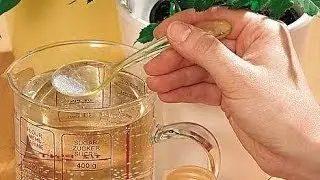 6 Натуральных удобрений для комнатных цветов и не только!