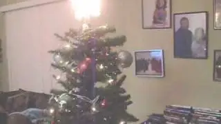 Putting up the Ghetto Christmas Tree