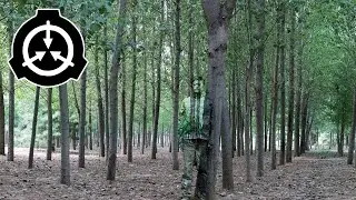 SCP-905 | Mr. Chameleon |  Little Misters SCPs