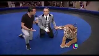 Американский телеканал Univision о БМГЦ  (оригинал сюжета)