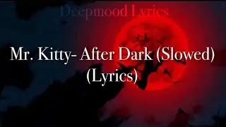Mr. Kitty- After Dark (Slowed) Lyrics