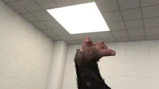 Gorilla Hand TF