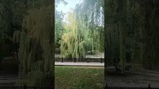 Теплый летний вечер 🏞️