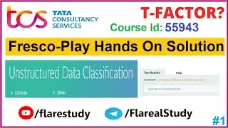 Unstructured Data Classification Hands-on Frescoplay complete Solution | All Test Cases Passed