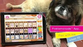 Pinklemonade: Plan With Me | 2019 | Week 35 | Digital Planner