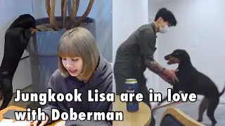 Jungkook Lisa are in Love with Doberman Like Other Superstars | ShowbizKid