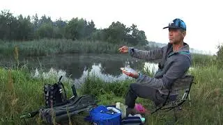 Рыбалка на поплавок в АВГУСТЕ.  Клёв белой рыбы плотва краснопёрка на речке.