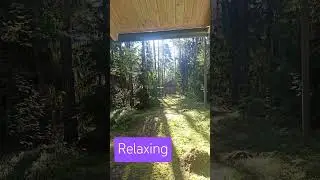 Relax #relaxing #отдых #природа #кайф #лес