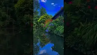 7254474309119397146