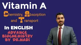Vitamin A Explained in English  Chemistry, Absorption and Transport By Dr A. Hadi