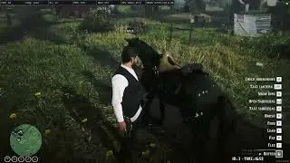 Horse Trainer Update