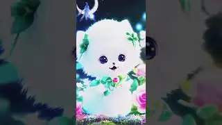 wish 🌹status new Kute kat WhatsApp 🌹status kute kate#trend #shorts#new status#whatsapp status 💞💞💞💞💞💙