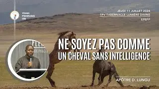 240711 EPEPP -  NE SOYEZ PAS COMME UN CHEVAL SANS INTELLIGENCE | Apôtre D. LUNGU