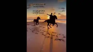 best attitude status|#shorts|horse lover status|horse ride status|best evening status