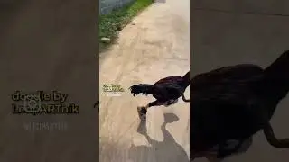 Очен нада