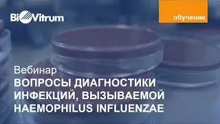 Актуальные вопросы диагностики инфекции вызываемой Haemophilus Influenzae